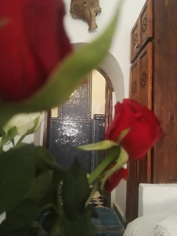 Riad Etoile De Mogador Essaouira